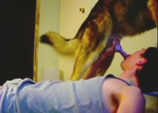 Bestiality sex scene with a guy who sucks dog