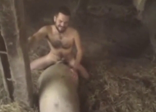 Zoophile porn scene with a hung dude and a beast