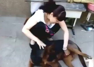 Chinese zoo-freak jerking dog cock happy