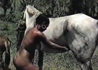 Hot stallion fucked her wide-opened hole