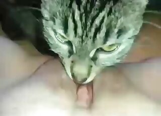 Kitty licks her wide-opened shaved pussy