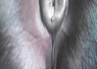 ลาม้าเป็นสิ่งที่สวยงามที่สุด