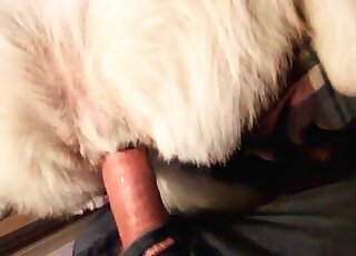 Fucking that animal's beautiful hole