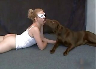 Brown dog and a masked zoophile like each other