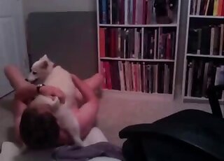 Very passionate oral before raw sex