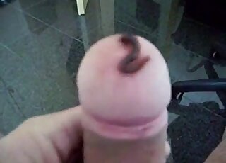 Nice-looking worm looks great in the dick head