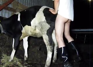 หนุ่มคนนี้เย็ดวัวเซ็กซี่ของเขาจากด้านหลัง