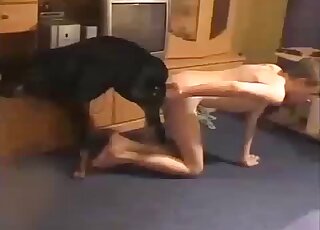 Black animal fucked a nice cunt of a sexy female