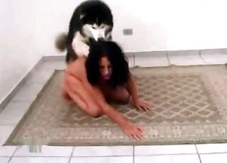 Sister gets to fuck a husky
