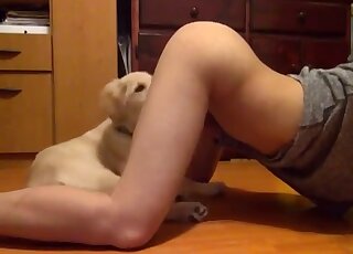 Trained doggy and a nice babe love each other so much