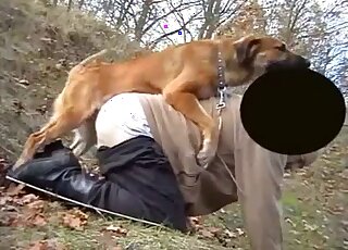 Brown dog fucks outdoors with a sweet zoophile