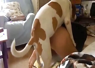 Sensual monkey strokes his hard dick under the sun