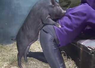 Small and horny pig fucked her twat from behind