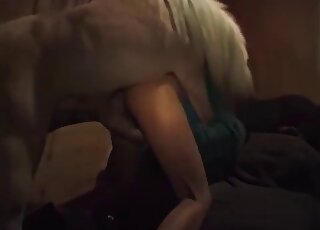 The ass's a nice gift for a trained beast