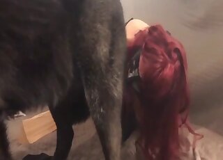 สาวสวยกำลังดูดจู๋สัตว์เลี้ยงแสนน่ารักอย่างเมามัน