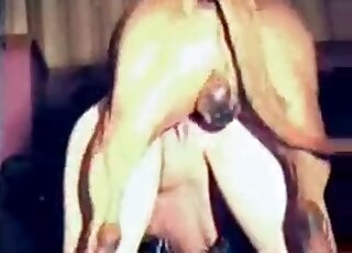 Curated animal sex movies with doggy style sex