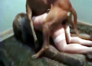 Dark canine screwing her hole from behind