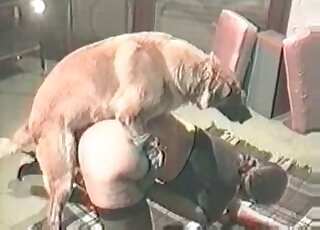 Tight twat getting screwed by a kinky doggo