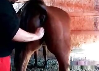 Impassionate zoo fisting with a brown mare